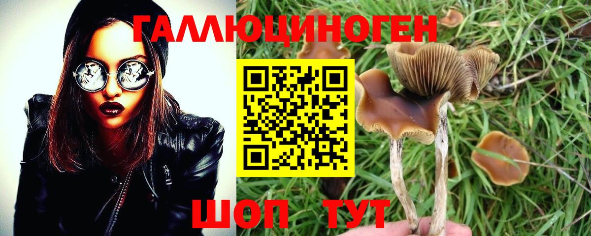 Псилоцибиновые грибы мухоморы Миасс